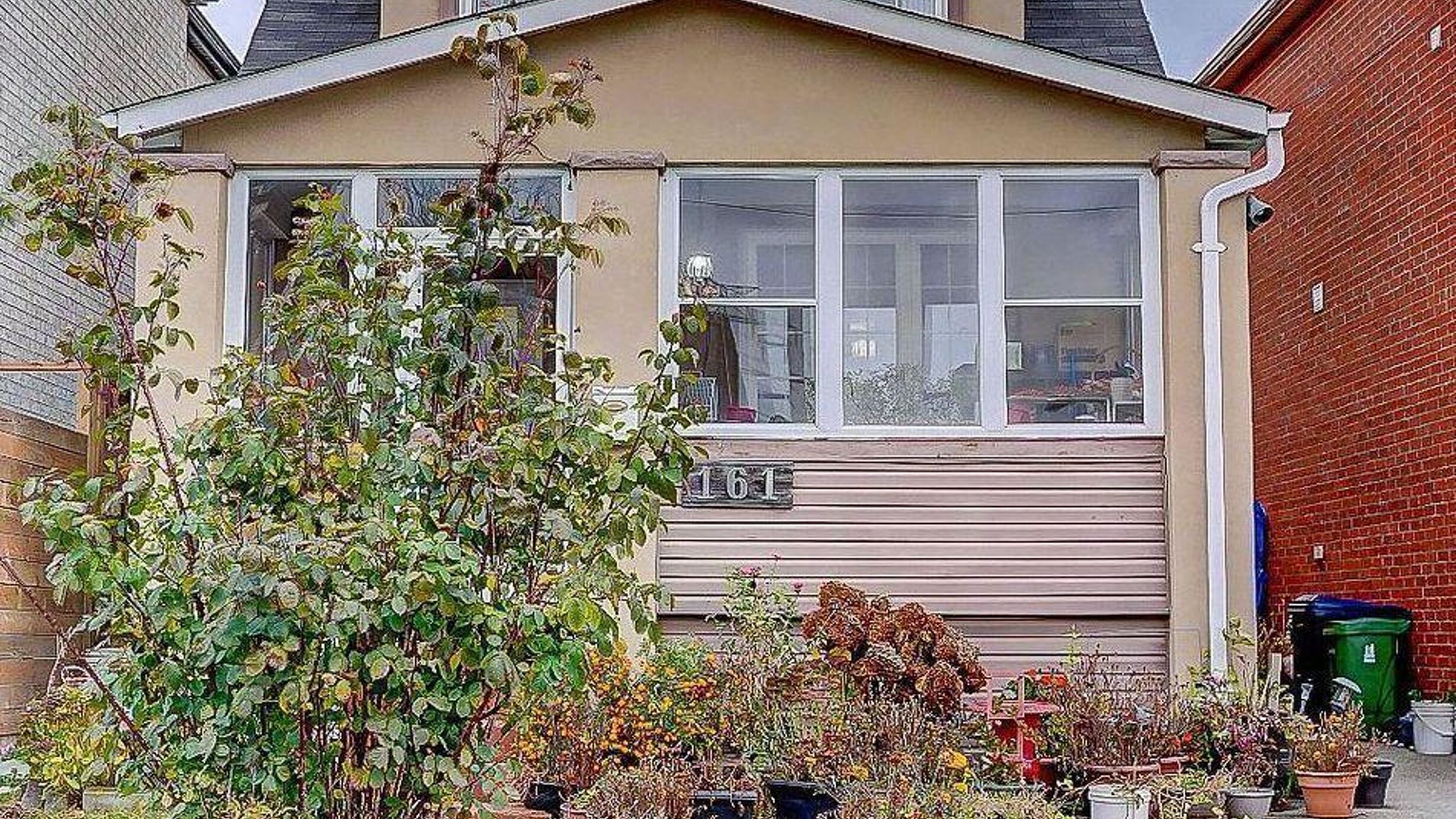 161 AUGUST AVENUE Image