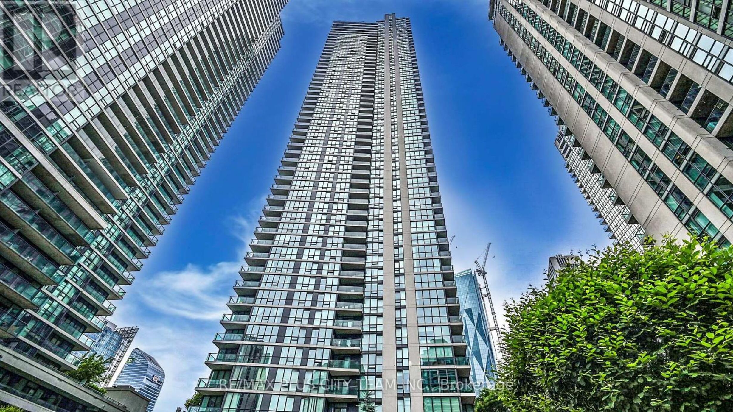 1305 - 18 HARBOUR STREET Image