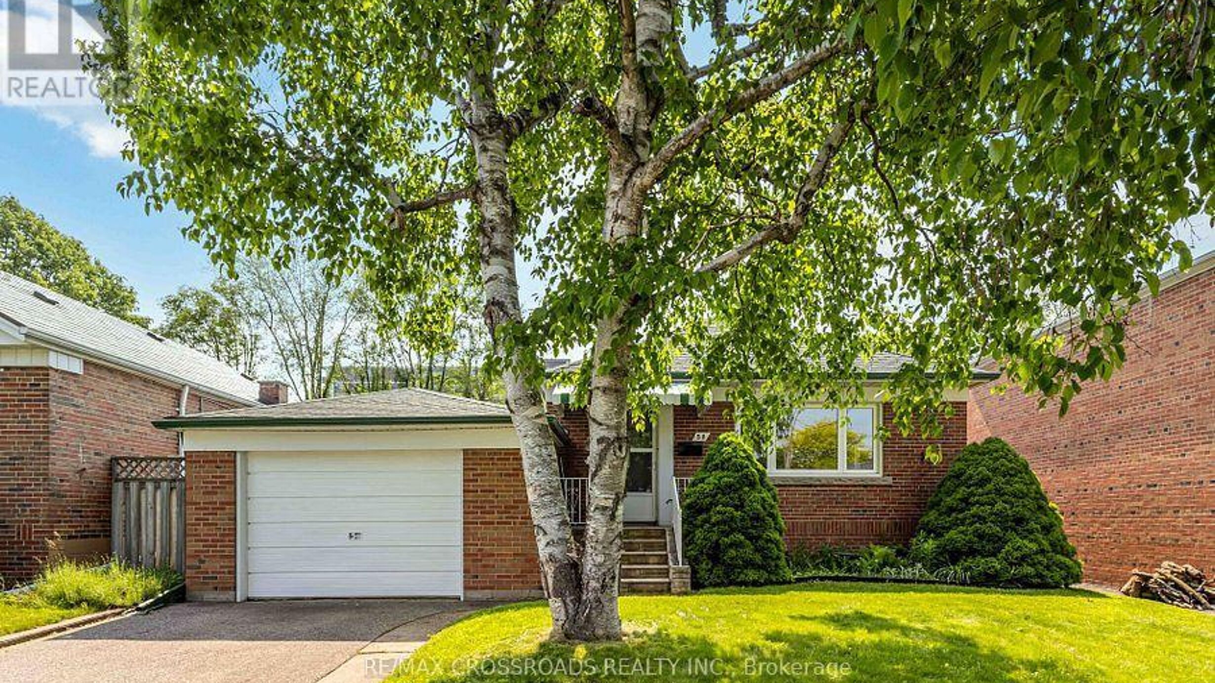 58 GREYLAWN CRESCENT Image