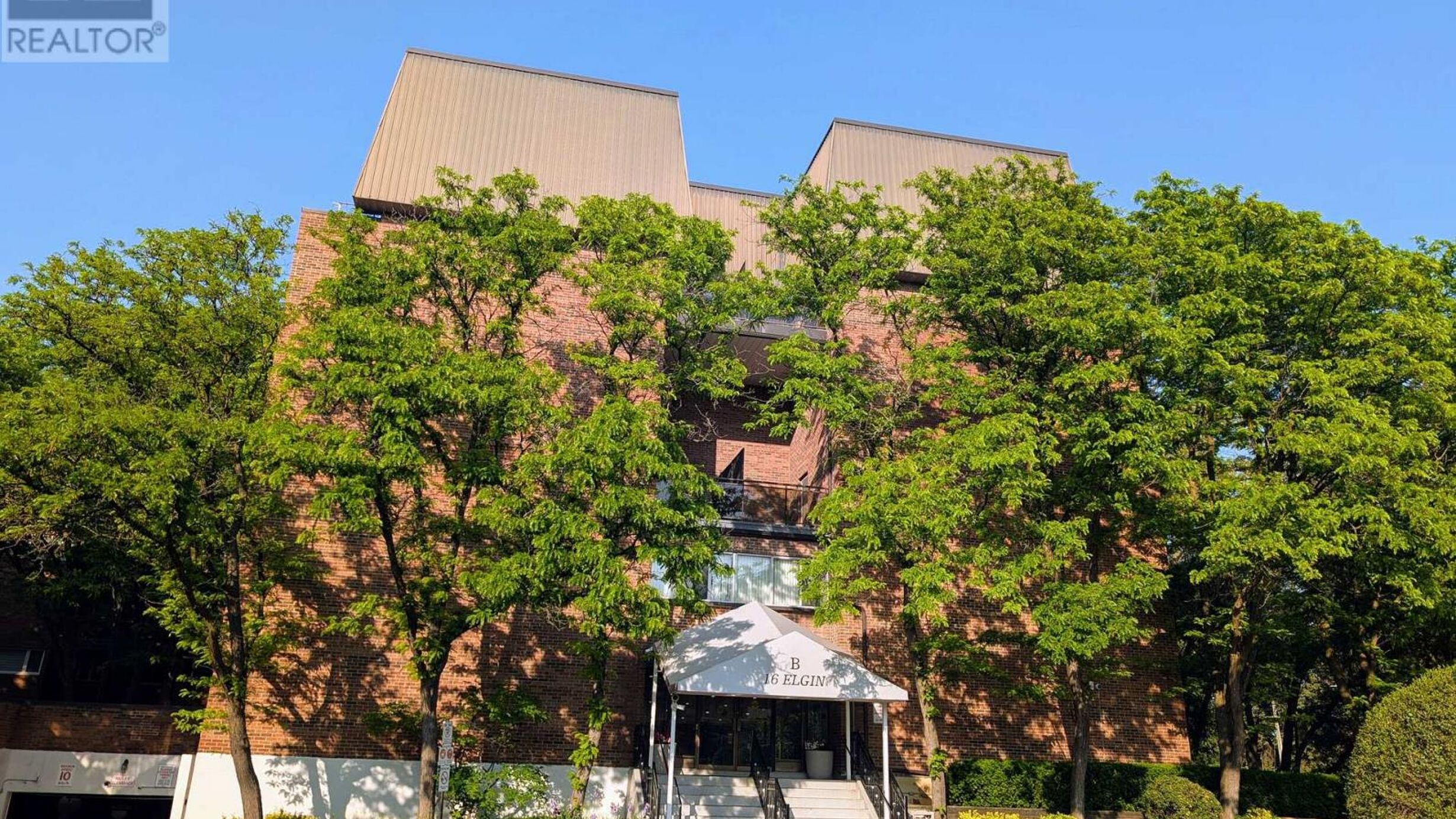 254 - 16 ELGIN STREET Image
