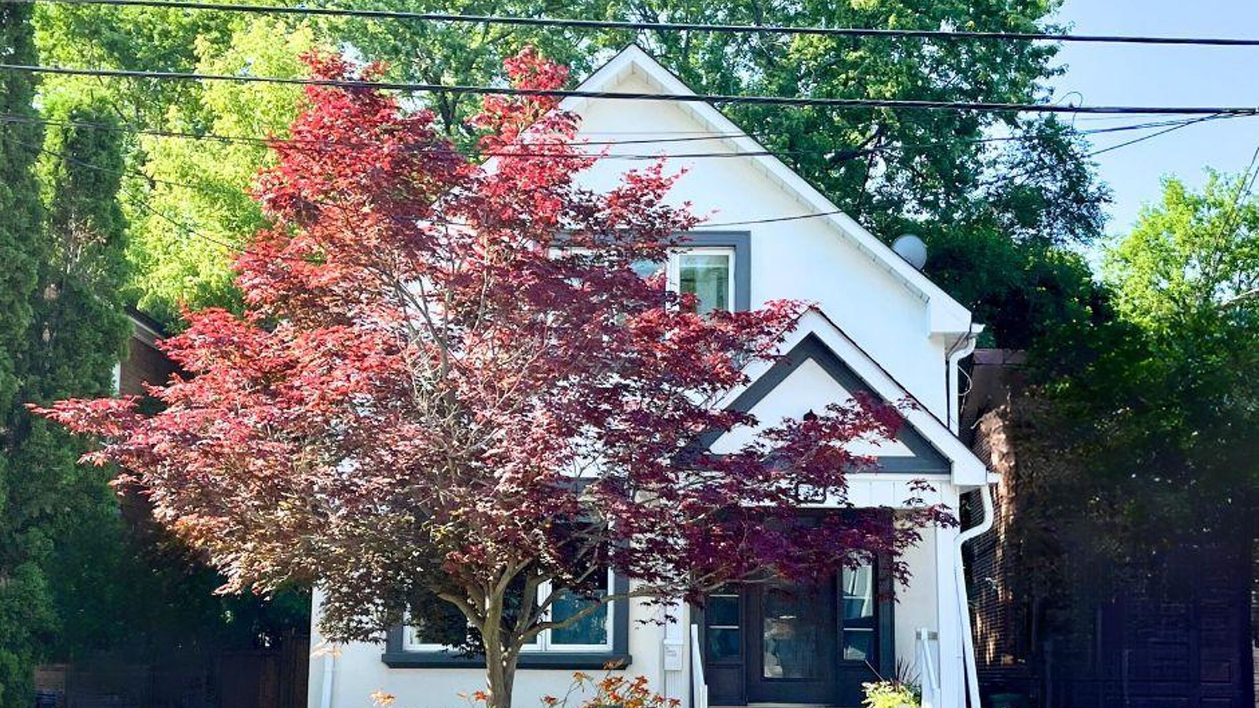 37 JOHNSTON AVENUE Image